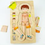 Kihiline anatoomiapusle "Poiss" (5x 7tk)