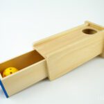 Eseme jäävuse kast (Montessori)